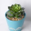 Artificial succulent 10*10*14CM Succulent in ceramic pot GS-45219133
