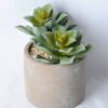 Artificial succulent 15*12*13 Artificial succulent 15*12*13.5CM Succulent in ceramic pot GS-45219135