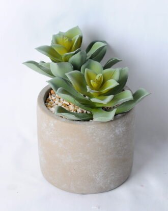 Artificial succulent 15*12*13.5CM Succulent in ceramic pot GS-45219135 Succulent YeahFlower is one of Chinese leading OEM manufacturers and exporters , supplying the silk flowers, wholesale artificial trees Artificial succulent 15*12*13.5CM Succulent in ceramic pot GS-45219135