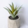 Artificial succulent 15*12*13 Artificial succulent 15*12*13.5CM Succulent in ceramic pot GS-45219135