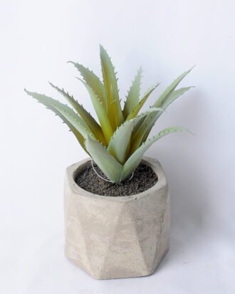 Artificial succulent 15*12*13.5CM Succulent in ceramic pot GS-45219135 Succulent YeahFlower is one of Chinese leading OEM manufacturers and exporters , supplying the silk flowers, wholesale artificial trees Artificial succulent 15*12*13.5CM Succulent in ceramic pot GS-45219135