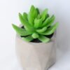 Artificial succulent 8*8*11 Artificial succulent 8*8*11.5CM Succulent in concert cement pot GS-45219141