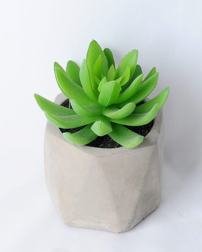 Artificial succulent 8*8*11 Artificial succulent 8*8*11.5CM Succulent in concert cement pot GS-45219141