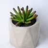 Artificial succulent 8*8*11 Artificial succulent 8*8*11.5CM Succulent in concert cement pot GS-45219141