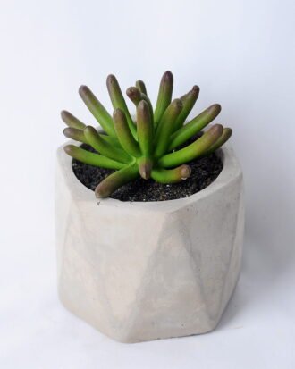 Artificial succulent 8*8*11.5CM Succulent in concert cement pot GS-45219141 Succulent YeahFlower is one of Chinese leading OEM manufacturers and exporters , supplying the silk flowers, wholesale artificial trees Artificial succulent 8*8*11.5CM Succulent in concert cement pot GS-45219141