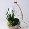 Artificial succulent 11*11*19cm succulent plants in glass pot GS-51719026 1 Artificial succulent 11*11*19cm succulent plants in glass pot GS-51719026