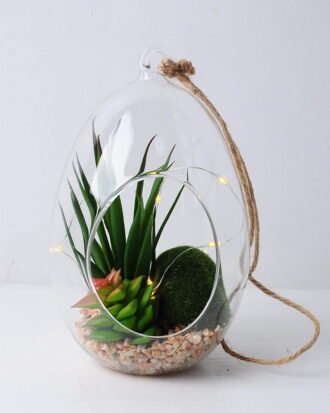 Artificial succulent 11*11*19cm succulent plants in glass pot GS-51719026 Succulent YeahFlower is one of Chinese leading OEM manufacturers and exporters , supplying the silk flowers, wholesale artificial trees Artificial succulent 11*11*19cm succulent plants in glass pot GS-51719026