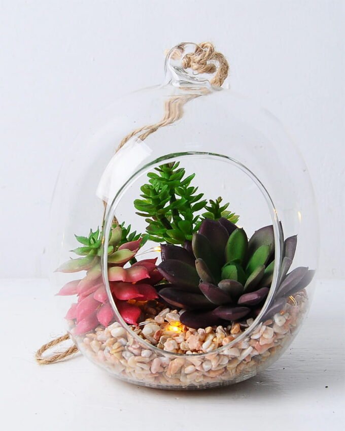Artificial succulent 11*11*19cm succulent plants in glass pot GS-51719026 2 Artificial succulent 11*11*19cm succulent plants in glass pot GS-51719026