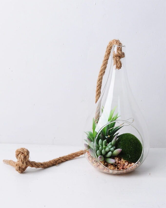 Artificial succulent 12*12*22cm succulent plants in glass pot GS-51719028