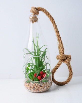 Artificial succulent 12*12*22cm succulent plants in glass pot GS-51719028 Succulent YeahFlower is one of Chinese leading OEM manufacturers and exporters , supplying the silk flowers, wholesale artificial trees Artificial succulent 12*12*22cm succulent plants in glass pot GS-51719028