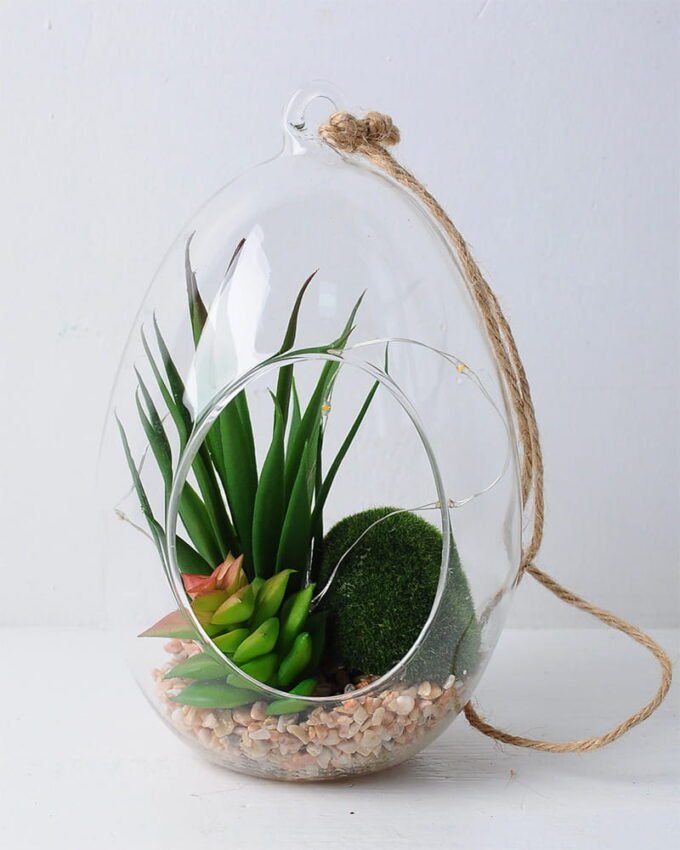 Artificial succulent 12*12*22cm succulent plants in glass pot GS-51719028