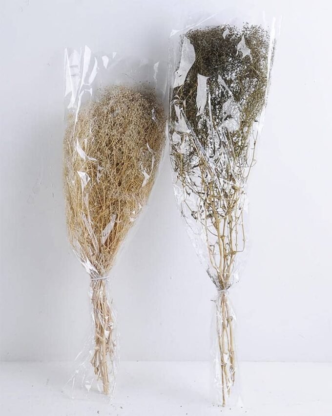 Dried Flowers Babysbreath Bush GS-56619043