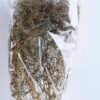 Dried Flowers Babysbreath Bush GS-56619043