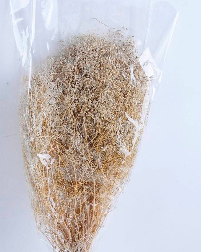 Dried Flowers Babysbreath Bush GS-56619043