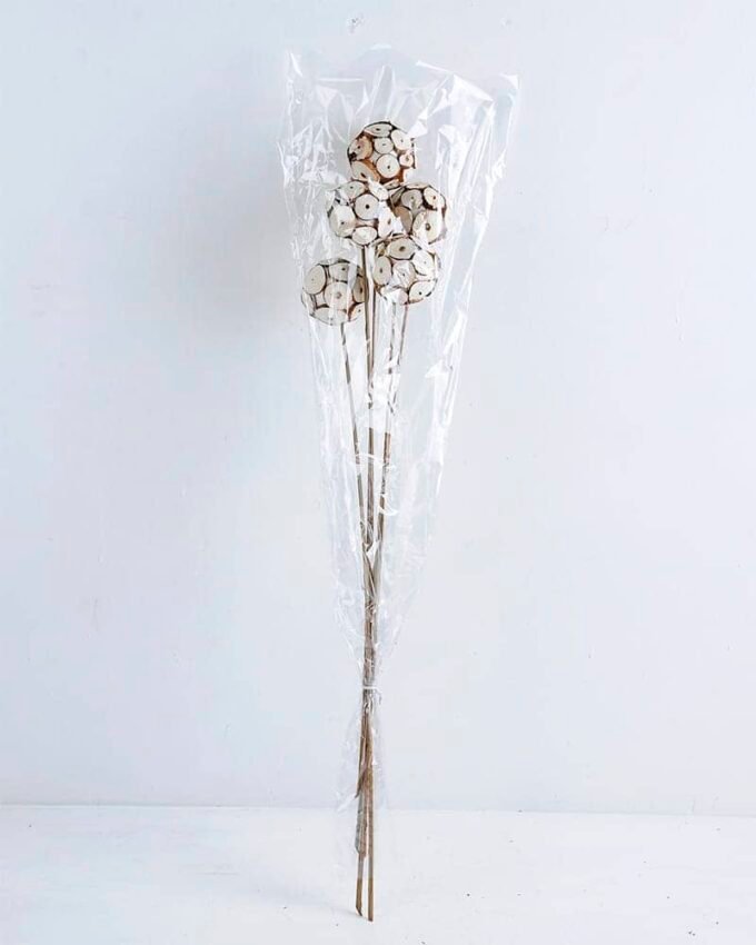 Dried Flowers Ball GS-56619054