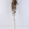 Dried Flowers 20*80CM CARTHAMUS TINCTORIUS 70g GS-56619031