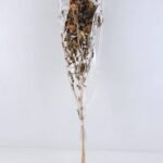 Dried Flowers 20*80CM CARTHAMUS TINCTORIUS 70g GS-56619031