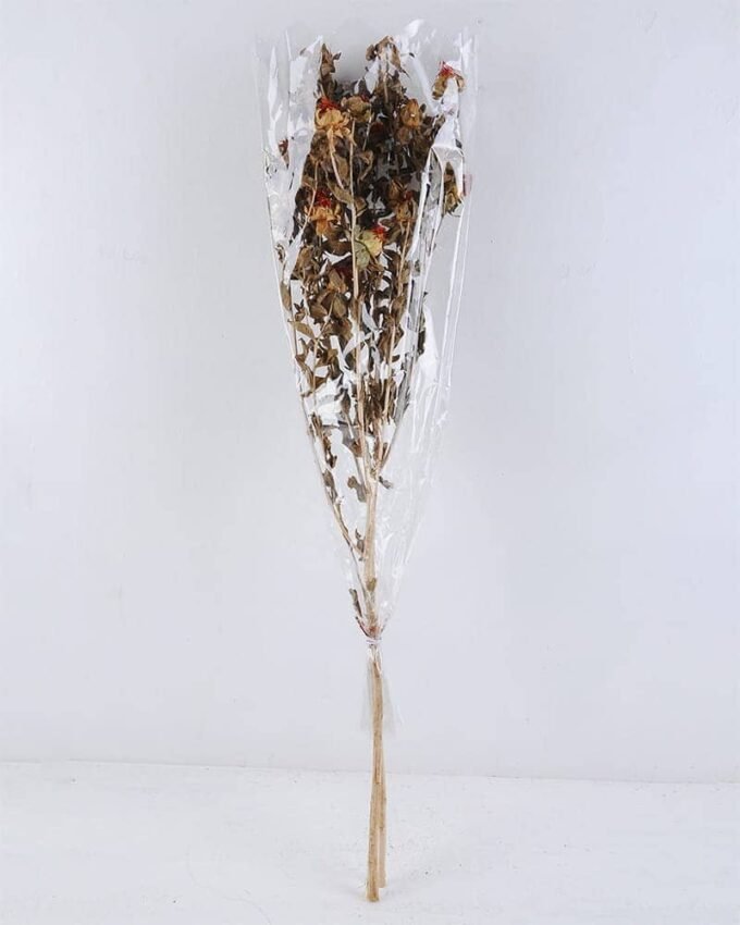 Dried Flowers 20*80CM CARTHAMUS TINCTORIUS 70g GS-56619031