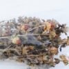Dried Flowers 20*80CM CARTHAMUS TINCTORIUS 70g GS-56619031