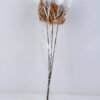 Dried Flowers 12*60CM DATURA STRAMONIUM BUSH*3 GS-56619017
