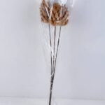 Dried Flowers 12*60CM DATURA STRAMONIUM BUSH*3 GS-56619017