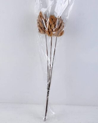 Dried Flowers 12*60CM DATURA STRAMONIUM BUSH*3 GS-56619017