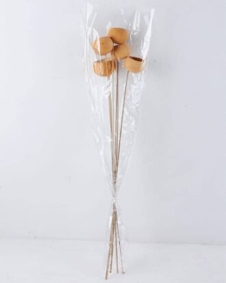 Dried Flowers 10*60cm Dried Fruit bush*5 GS-56619016