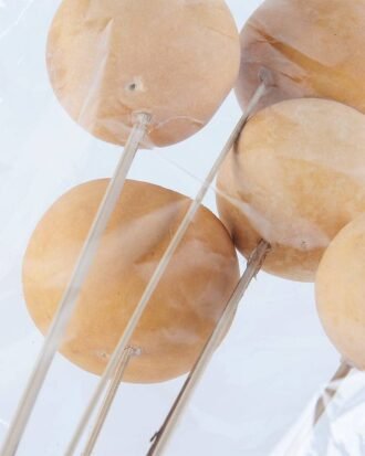 Dried Flowers 10*60cm Dried Fruit bush*5 GS-56619016