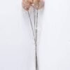 Dried Flowers 15*55cm Dried  ball bush*3 GS-56619028