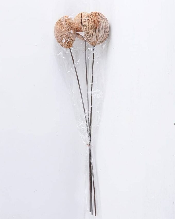 Dried Flowers 15*55cm Dried  ball bush*3 GS-56619028