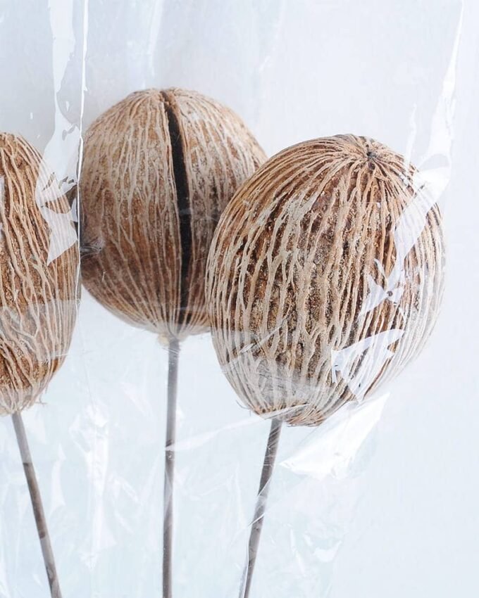 Dried Flowers 15*55cm Dried  ball bush*3 GS-56619028