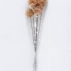 Dried Flowers 15*55cm Dried  ball bush*5 GS-56619027