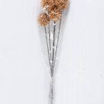 Dried Flowers 15*55cm Dried  ball bush*5 GS-56619027