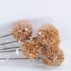 Dried Flowers 15*55cm Dried  ball bush*5 GS-56619027