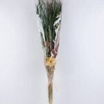 Dried Flowers 25*110CM Dried flowers GS-56619037