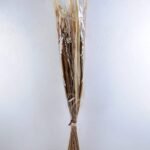 Dried Flowers 20*130CM Dried flowers GS-56619039