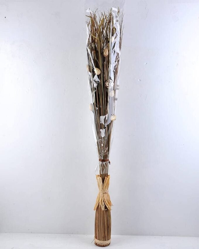 Dried Flowers 15*125CM Dried flowers GS-56619040