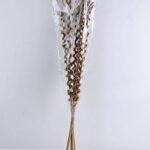 Dried Flowers Grass GS-56619047