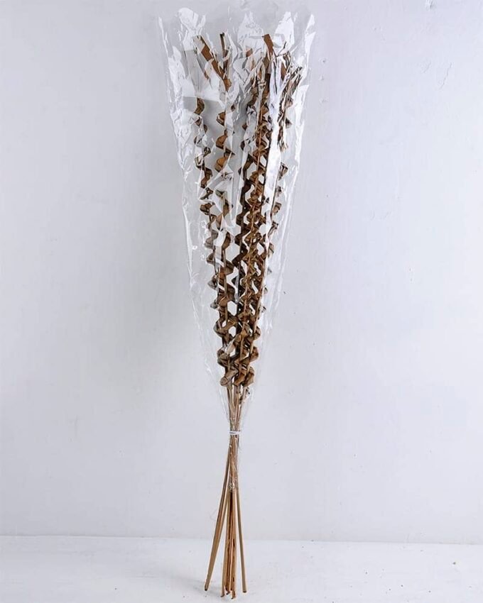 Dried Flowers Grass GS-56619047