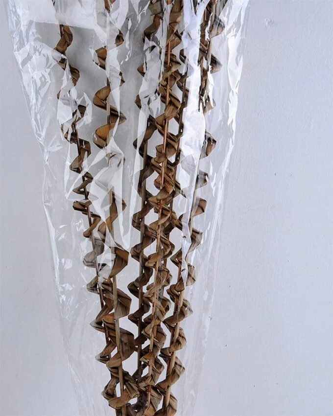 Dried Flowers Grass GS-56619047