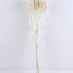 Dried Flowers Grass GS-56619051