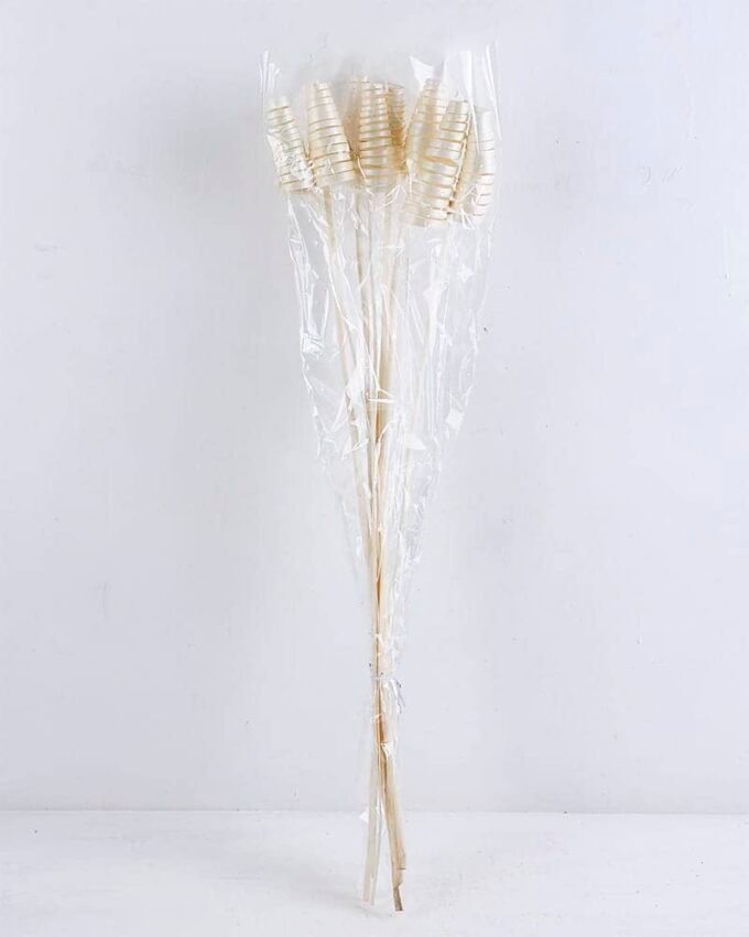 Dried Flowers Grass GS-56619051