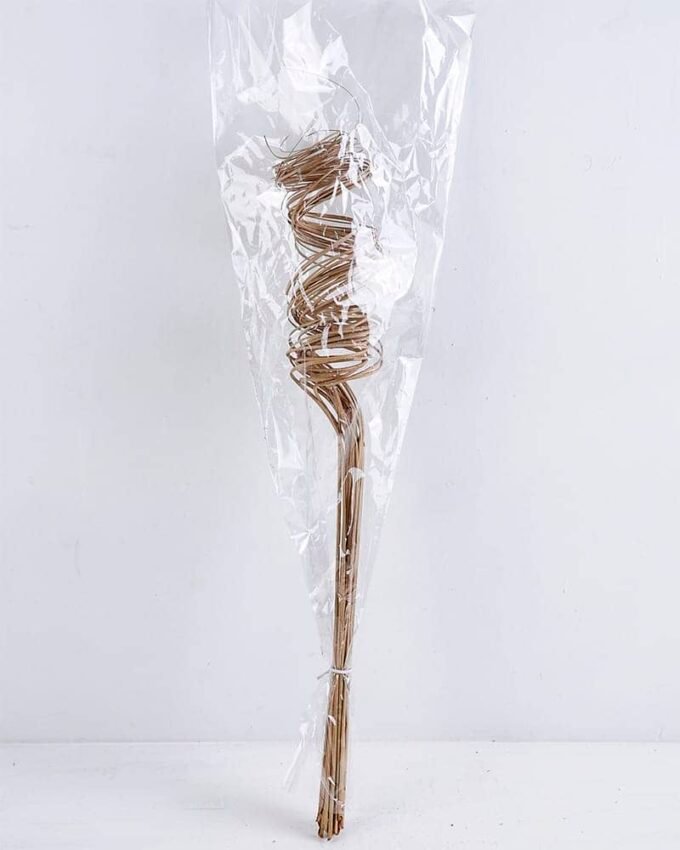 Dried Flowers Grass GS-56619052