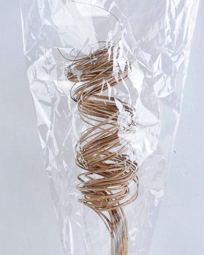 Dried Flowers Grass GS-56619052