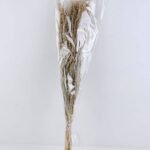 Dried Flowers 12*75CM Nature grass 70g GS-56619032