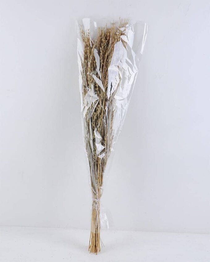 Dried Flowers 12*75CM Nature grass 70g GS-56619032