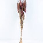 Dried Flowers 15*70CM PENNISETUM ALOPECUROIDES 70g GS-56619020-R2