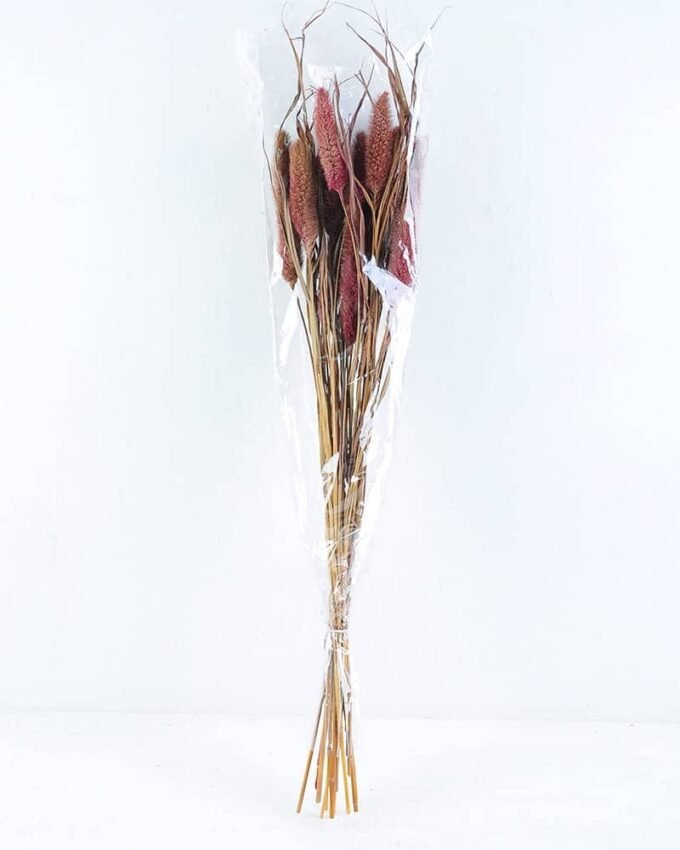 Dried Flowers 15*70CM PENNISETUM ALOPECUROIDES 70g GS-56619020-R2