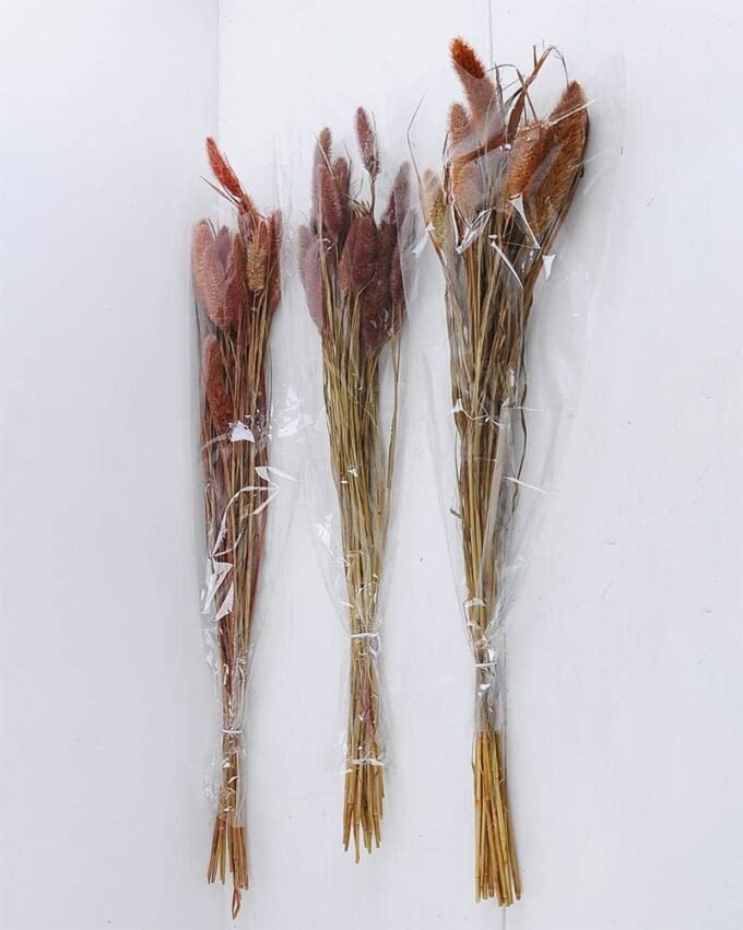 Dried Flowers 15*70CM PENNISETUM ALOPECUROIDES 70g GS-56619020-R2