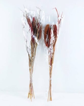 Dried Flowers 15*70CM PENNISETUM ALOPECUROIDES 70g GS-56619020